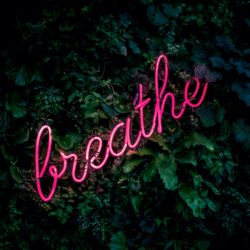 Purposed Positivity